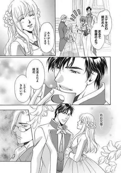 [Omi Shinano] Imouto Mekake ~Onii-sama, Mou Yurushite~ 3 [Digital]