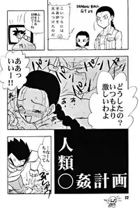 (C51) [Chirigami Goya, Fusuma go Ten (Shoji Hariko)] ZZZ (DRAGON BALL)
