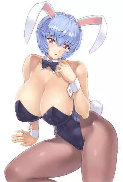 Ayanami Dai 4-kai