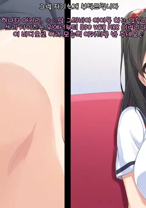 Gravure Idol Akari Himitsu no Image Video -IV hen-