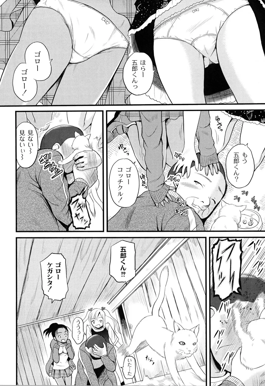 Inbaku Haka no Shinnyuusha