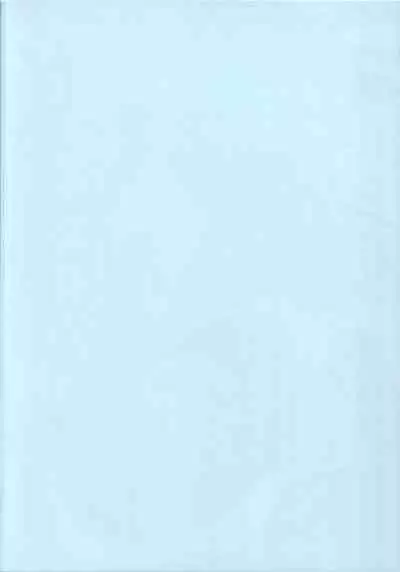 (C102) [Kazumiya (Arisu Kazumi)] Nonomi Massakari (Blue Archive)