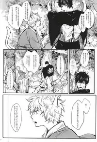 Silver Dream (Gintama)