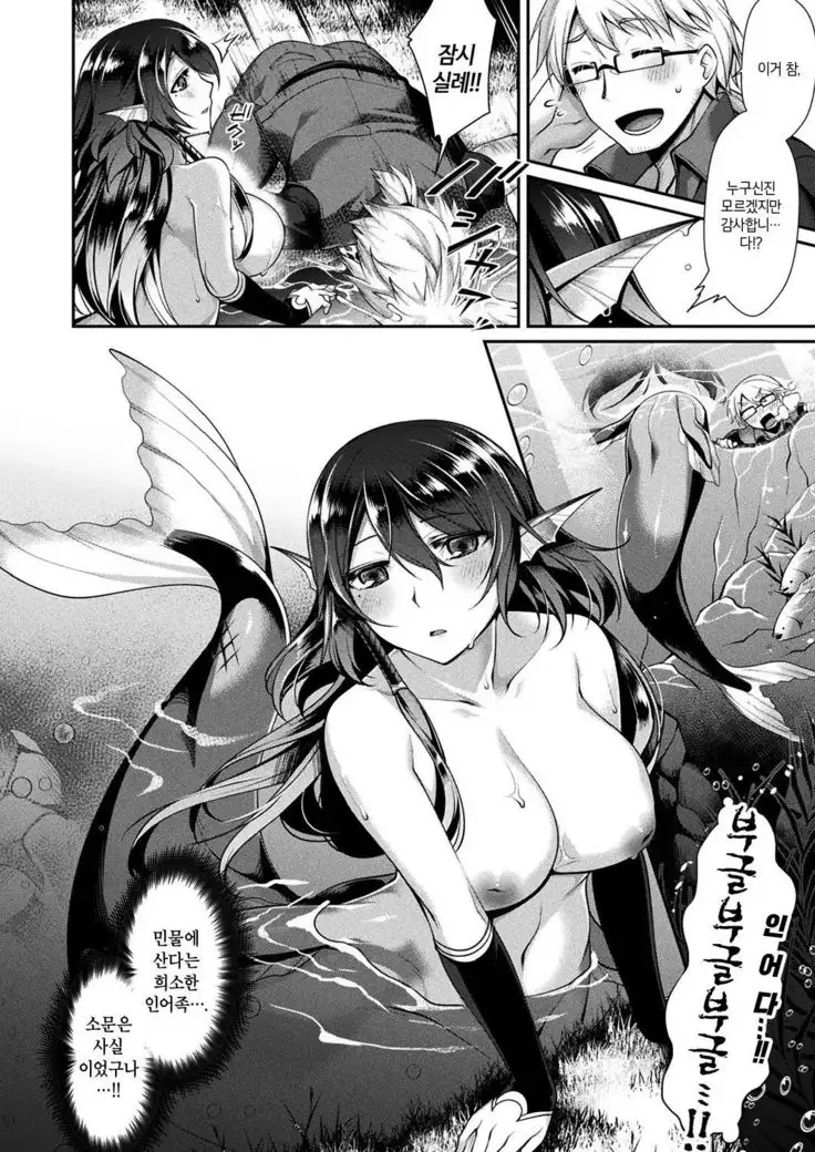 Hitoribocchi no Ningyo Hime to | 고독한 인어공주와