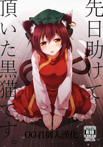 (Touhou Goudou Event 2017 Shinshun!) [Midorineko (Midori)] Senjitsu Tasukete Itadaita Kuroneko desu. (Touhou Project) [Chinese] [oo君個人漢化]