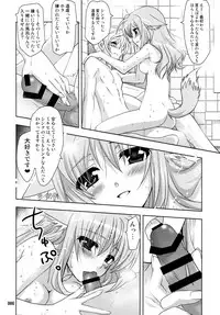 (C87) [PLUM (Kanna)] Wonderful Soushuuhen (DOG DAYS)