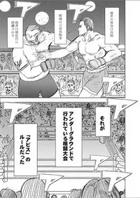 Girls Fight -Maya- Digital Comic Version