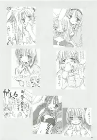 [観月堂] 電撃ラグナ (RO)