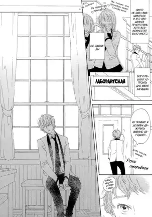 The Daydreamer Falls in Love