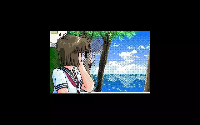 C.G. Gallery 8 Endeavour 9 Enterprise