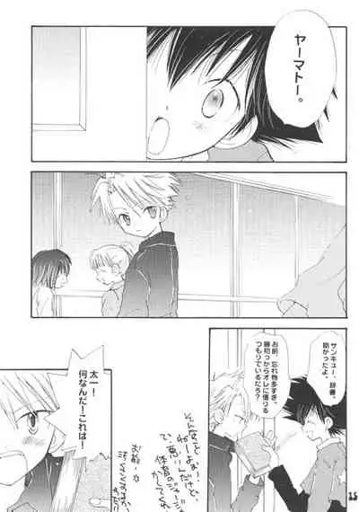 [PIKAPIKA (Takahashi Mako)] Hoshizora Touring Express (Digimon Adventure)