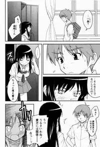 [Nippori] Daisy Blue