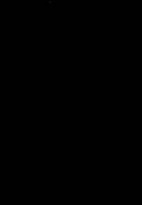 (C75) [Tenkaichi Baby's (Inomoto Rikako, BENNY'S)] Pochakko